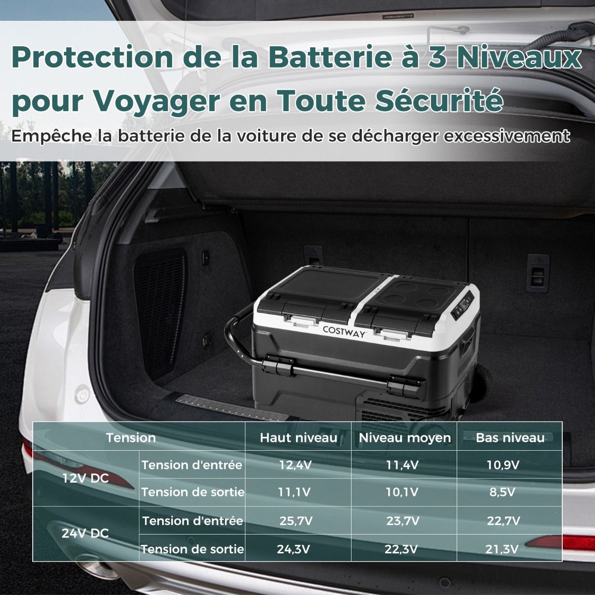 Glacière électrique Portable Double Zone 40L Réfrigérateur de Voiture 12 V à Compresseur -20°C?~?20°C 12/24V CC et 100-240V CA Noir
