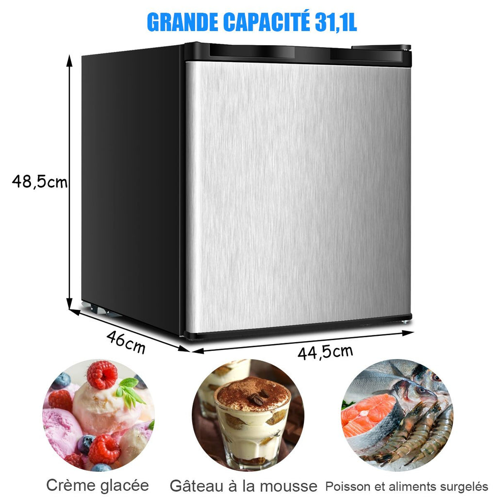 Mini Congélateur Vertical Capacité 31,1 L Porte Réversible en Acier Inoxydable Contr?le Mécanique Température Réglable